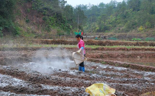 踏青去哪玩?大海猫山水花园景区即将隆重开业