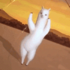 沙雕表情包聊什么聊聊出感情来了你负责吗