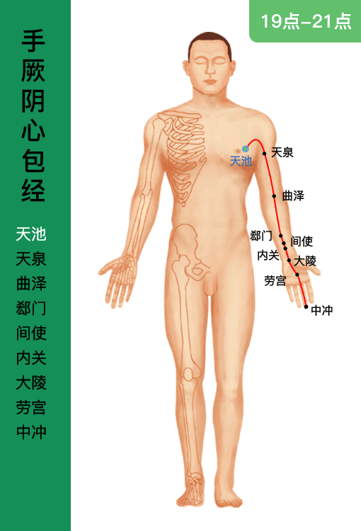 心包经,又叫"救命的心包经",是主管心脏外围如心包,心血管等的经络.