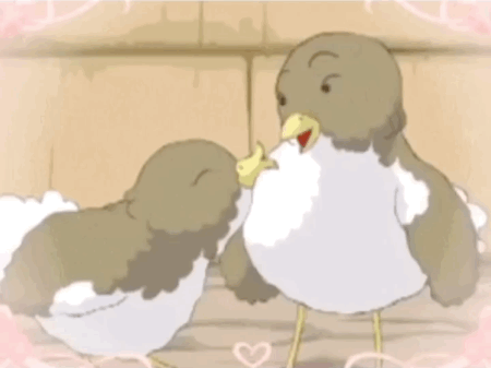 表情包可爱表情包动图抖音531