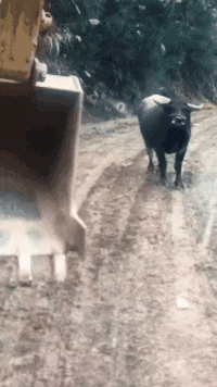 搞笑gif段子:找好了装备,玩什么游戏都得心应手_腾讯网