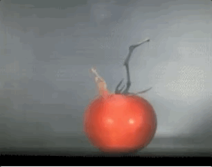 融化……啤酒瓶四分五裂……让大家了解一下微波炉的杀伤力先上一组图