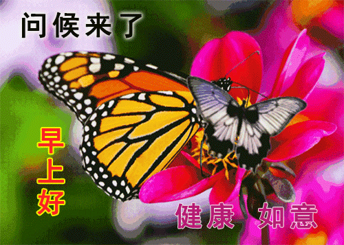 11月02日早上好每日问候