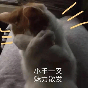 表情包图片大全抖音沙雕表情包动图0828期