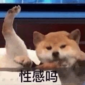 抖音最火表情包丨加油表情包图片大全加油