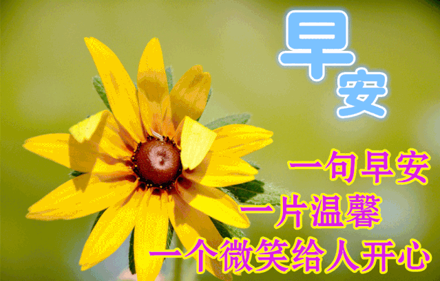 8张立冬最美早上好动态祝福图片表情带字和鲜花,创意.