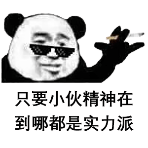 熊猫头表情包 只要小伙精神在 到哪都是实力派