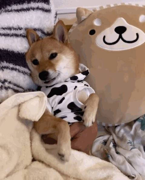 479_593竖版 竖屏gif 动态图 动图