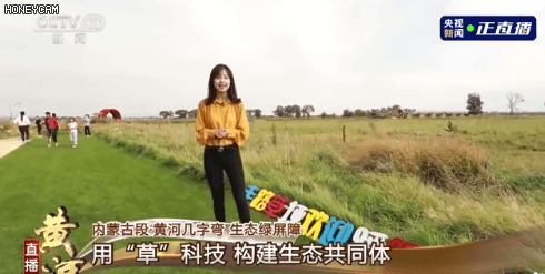 央视记者王冰冰,是如何成为全民