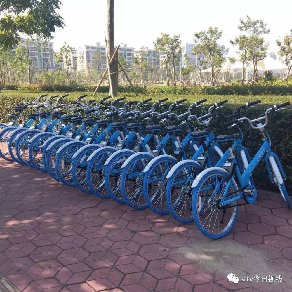 共享单车损耗率广州15%深圳25% 汕头最低