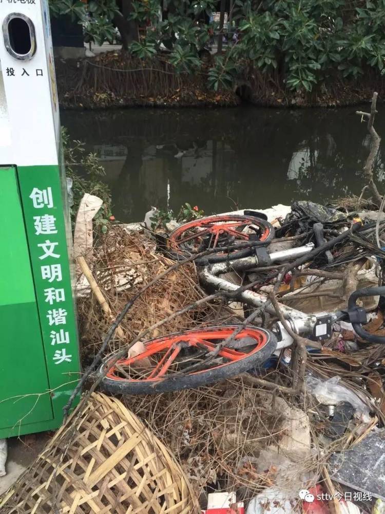 共享单车损耗率广州15%深圳25% 汕头最低