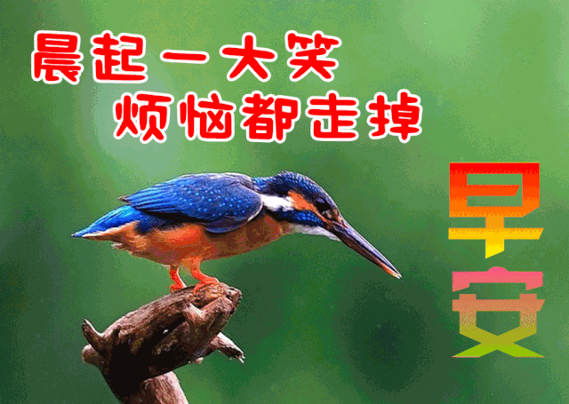 4月10日周六最新早上好问候动态表情图片 暖心早上好图片表情祝福语录