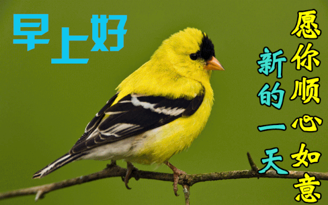 2021年10月31日星期日早上好问候祝福动态表情图片 语