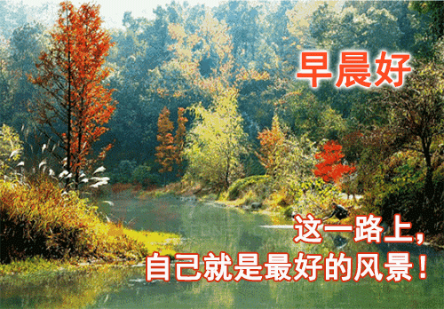 8月29日早晨问候语图片带鲜花,周日早上好祝福图片