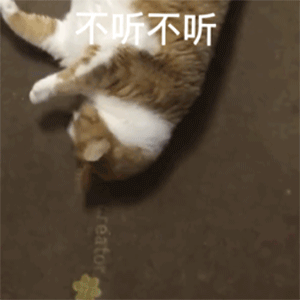 表情包图片大全|今天安排一下