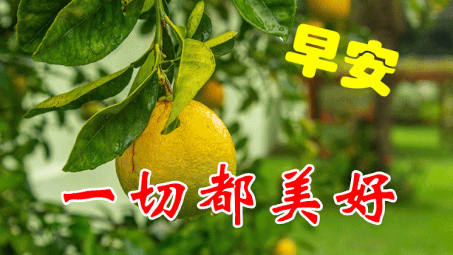 早安!有的时候:我们需要的不是一碗鸡汤, 而是现实给的一巴掌.