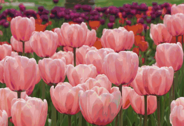 悉尼周边30小镇,全部集结完毕!你所生活的城市就