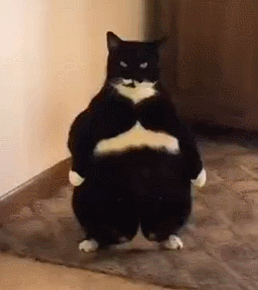 每日一笑他爱不爱你看眼神就知道