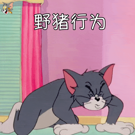 表情包:猫和老鼠动态表情,大兄弟上天不