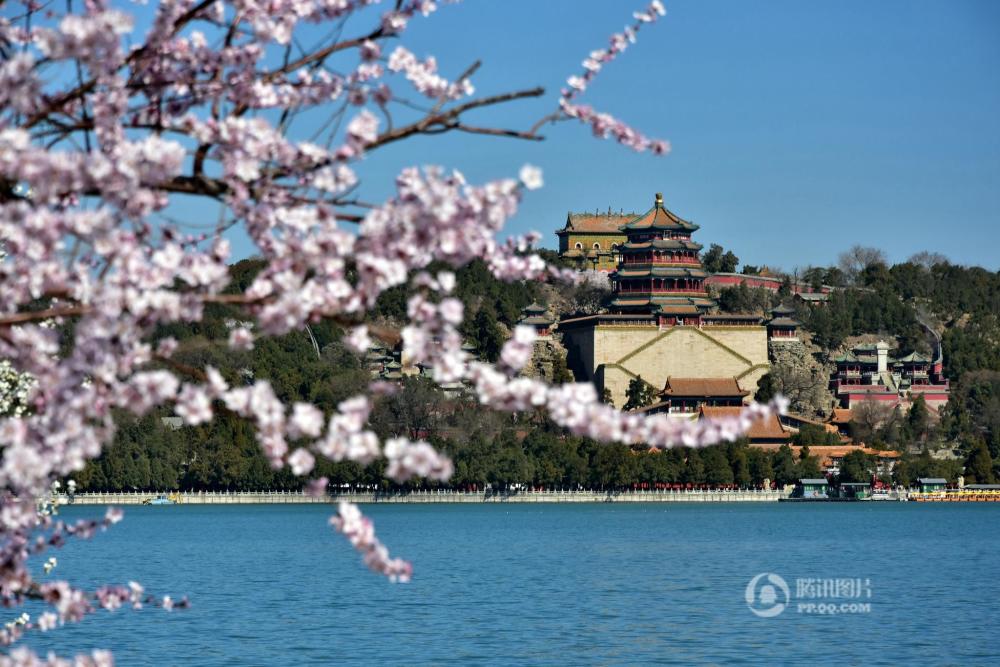 北京颐和园春花烂漫 游春赏花正当时