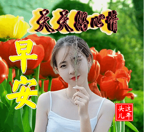 7张亲爱的早上好图片最美动态图表情包祝福大家早上好群聊聊天问候