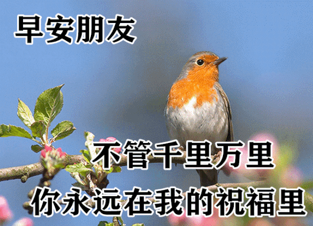 中老年表情包,聊天动态带字图片早上好祝福,天气变寒冷,添衣才保暖!