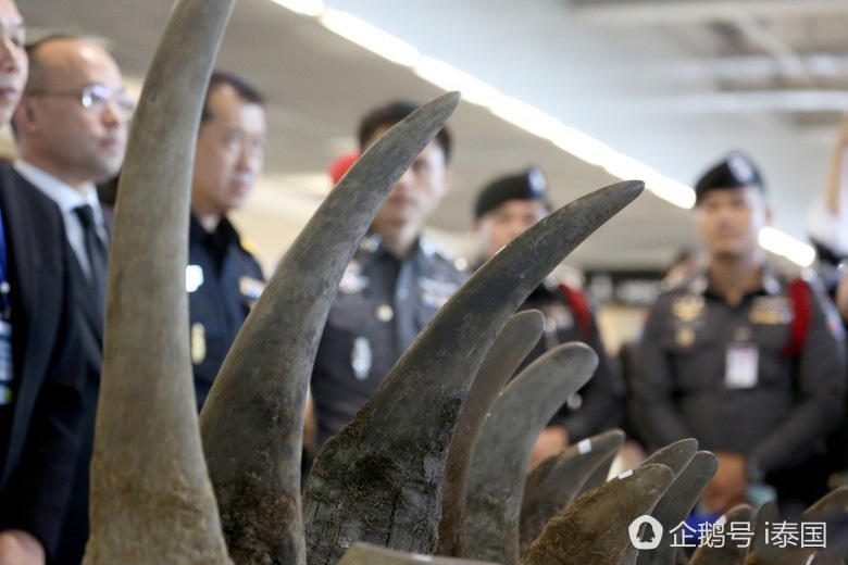 泰国机场截获走私珍稀犀牛角价值3百万（组图） - 8