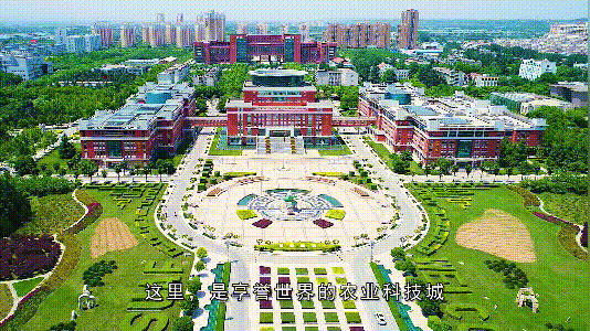 杨凌向世界发出邀请