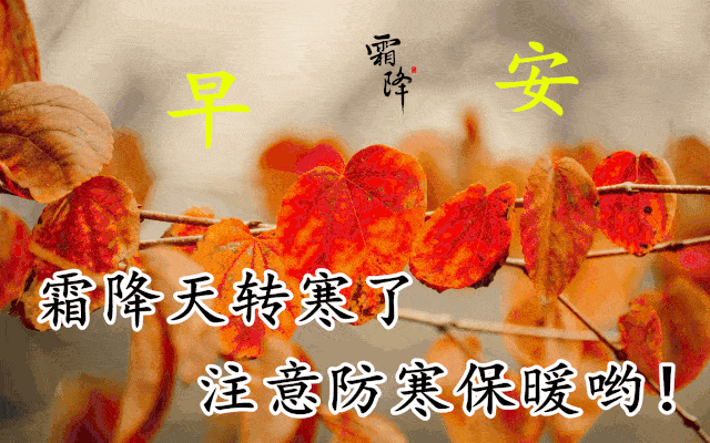 2021年10月23日早安霜降问候祝福语及关心话霜降最美的问候表情图片