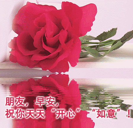 坎坷挫折不泄气,不屈不挠有勇气,祝你早安好心气,开心快乐好福气!