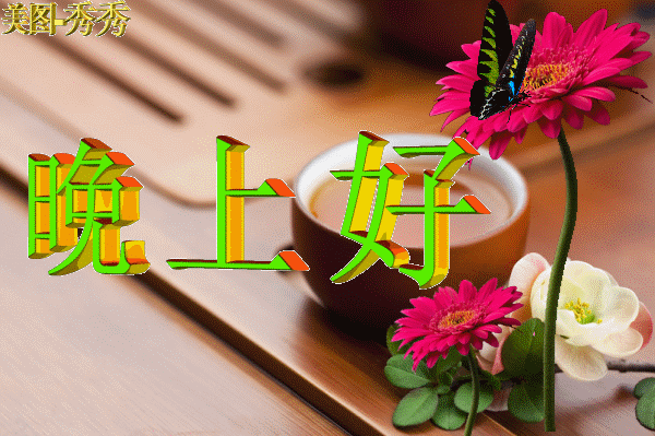 晚上好最漂亮表情图片送给你亲爱的朋友晚安愿你开心每一天
