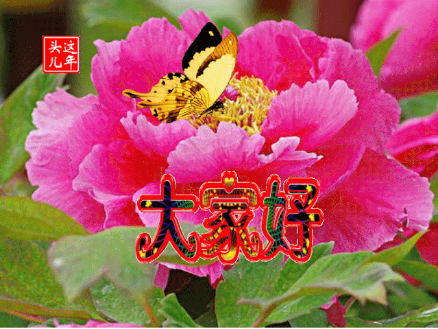 秋天早安祝福问候语说说图片 深秋早上好动态表情图片