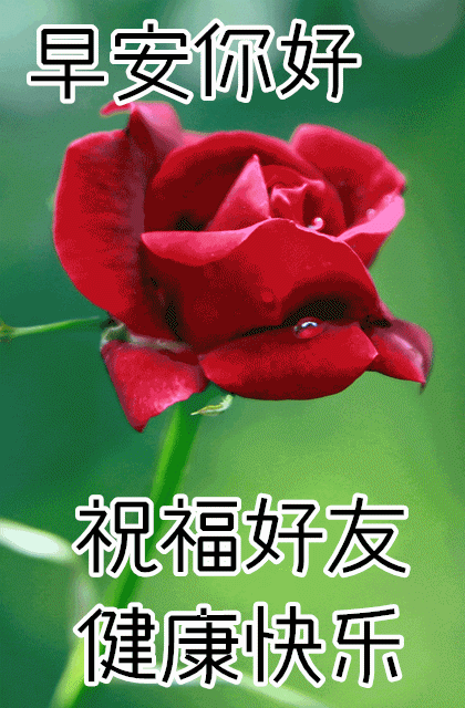 10月26日最新早上好动态祝福表情大全,漂亮的早上好动