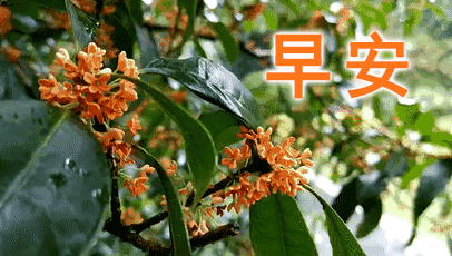 天地寒冷穿棉衣,大炖山鸡羊肉炒.抱着火炉吃夜宵,养生保健幸福笑.