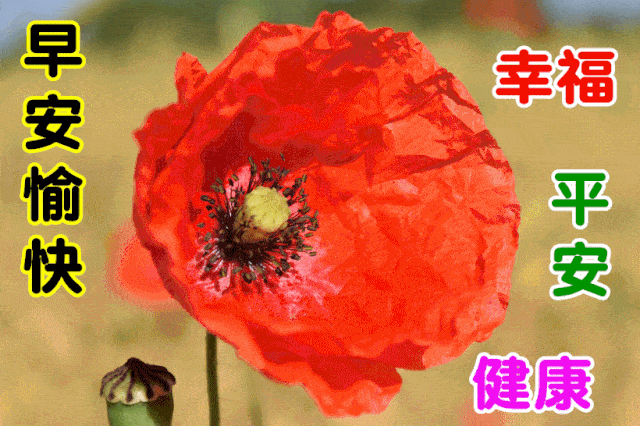 10月21日最漂亮早上好动态表情图片,早安问候祝福语图片带字温馨