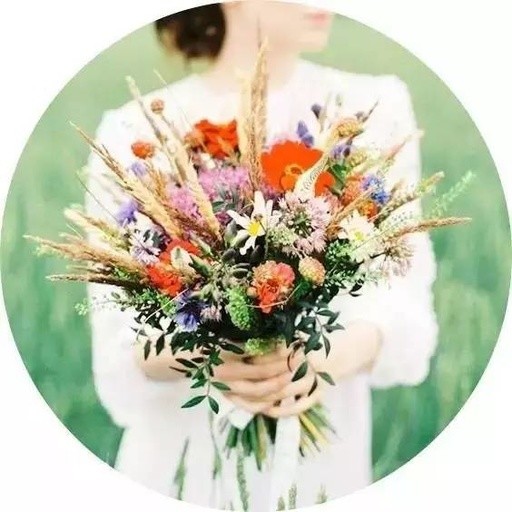 凤凰卫视美女主持林玮婕,三年收粉丝十张裸照