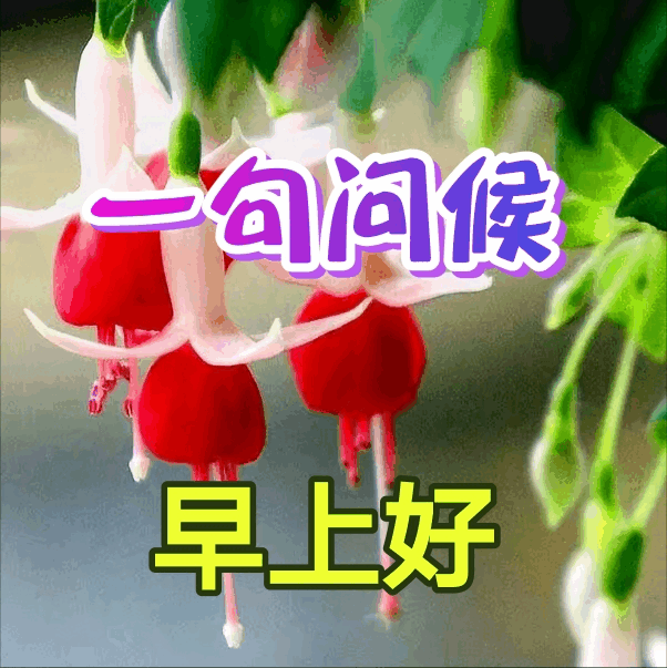 微信最美早上好动态祝福图片带字温暖人心的早上好问候语录送朋友