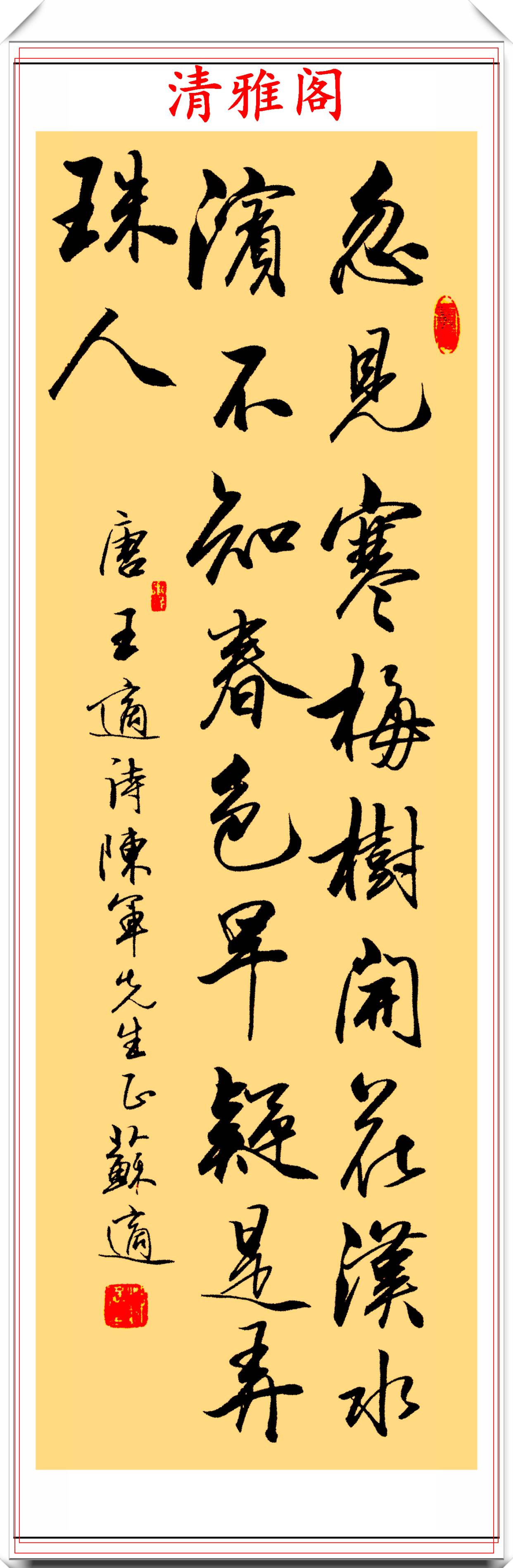 中国书协理事苏适行书诗林词汇欣赏网友这个字才叫书法