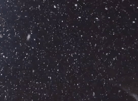 佳木斯丨2020年入冬第一场雪,如期而至!