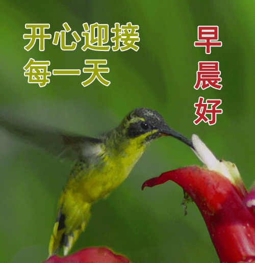 2021早上好祝福语动态表情图片,温馨的早上好问候语