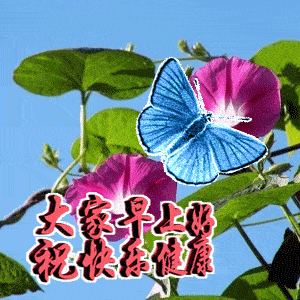 周三早上好问候祝福动态表情图片,星期三早安加油