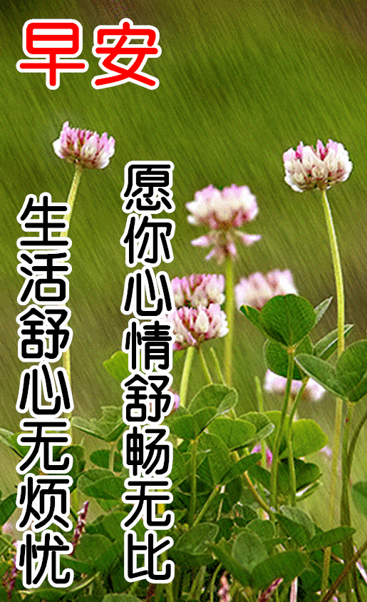 周三早上好问候祝福动态表情图片,星期三早安加油