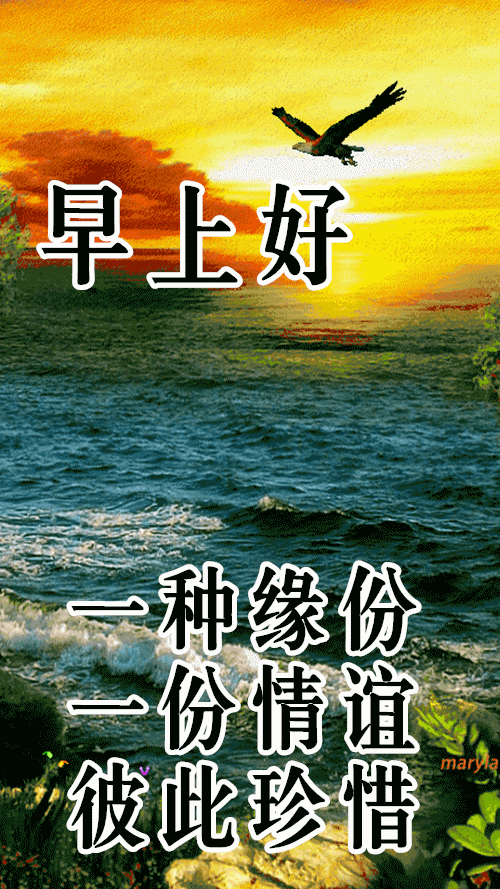 8张最新群发早上好问候祝福动态表情图片,暖心早上好