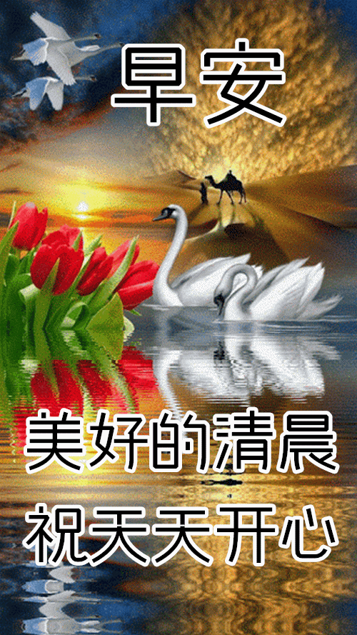 10月26日早上好|每日问候