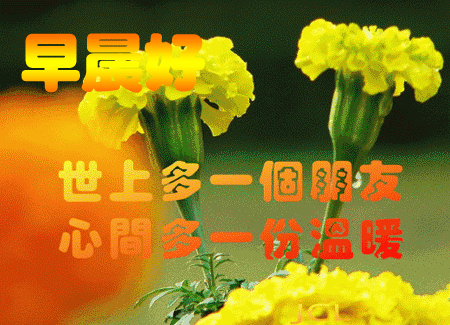 早上好问候语每日更新早安简短问候图片