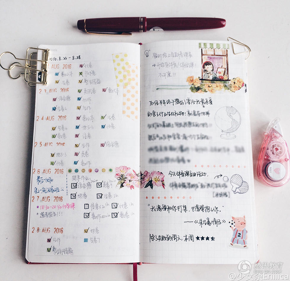 高三女生晒精美手账 每天列计划清单_新湖南网
