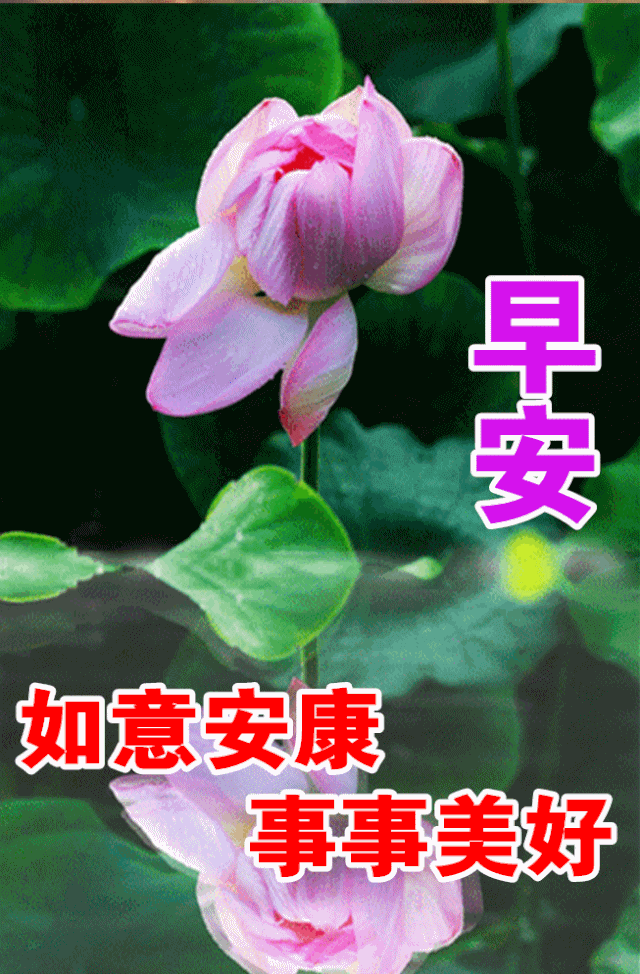 创意好看的冬天早安问候祝福动画图片表情冬天早上好问候图片带字创意