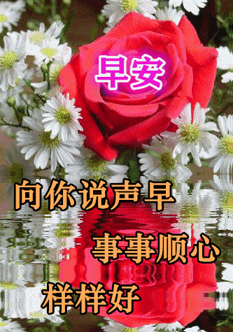 早上好祝福好友天天开心幸福快乐