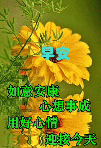 早上好祝福好友天天开心幸福快乐