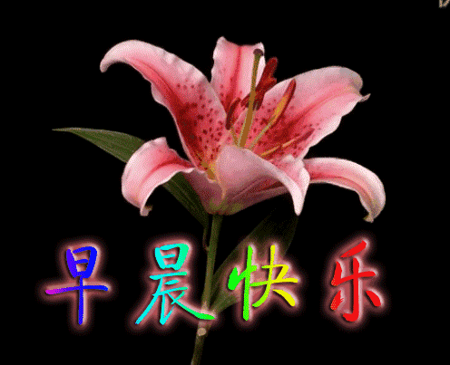 创意好看的冬天早安问候祝福动画图片表情冬天早上好问候图片带字创意